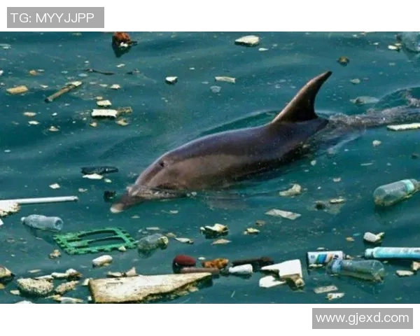 细思极恐的足球球星面孔背后隐藏的秘密与传奇人生