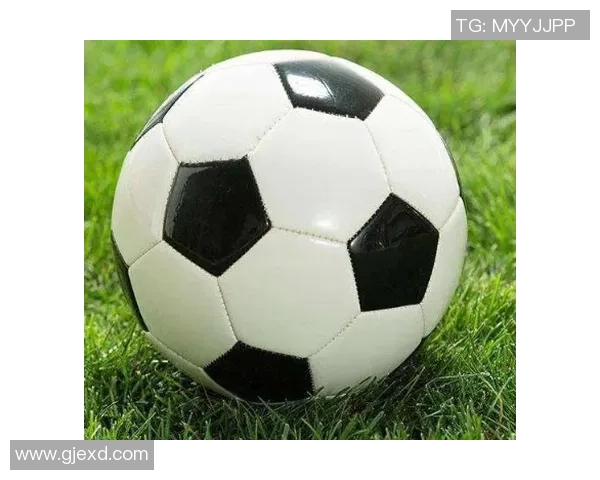 足球卡片收纳技巧与方法 如何保护和整理您的球星收藏